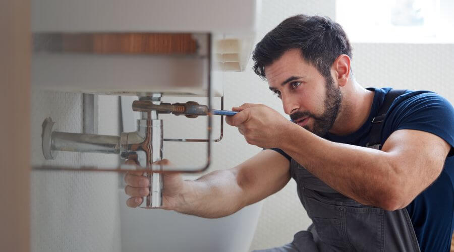Trap Repair/Replacement in Colona, IL